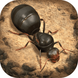 小小蚁国官服手机版(The Ants)