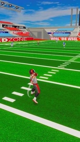 NFL生活3D中文版