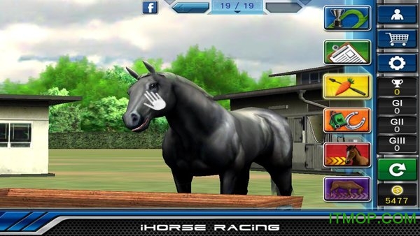 马中赤兔(iHorse Racing)