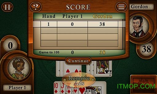 王牌金拉米(Aces Gin Rummy)