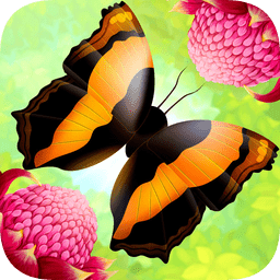 彩翼蝴蝶保护区中文版游戏
