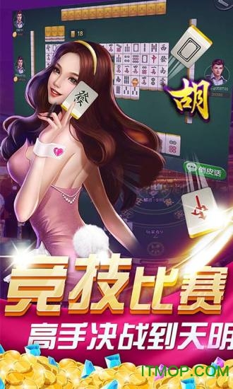 丽水茶苑麻将手机版